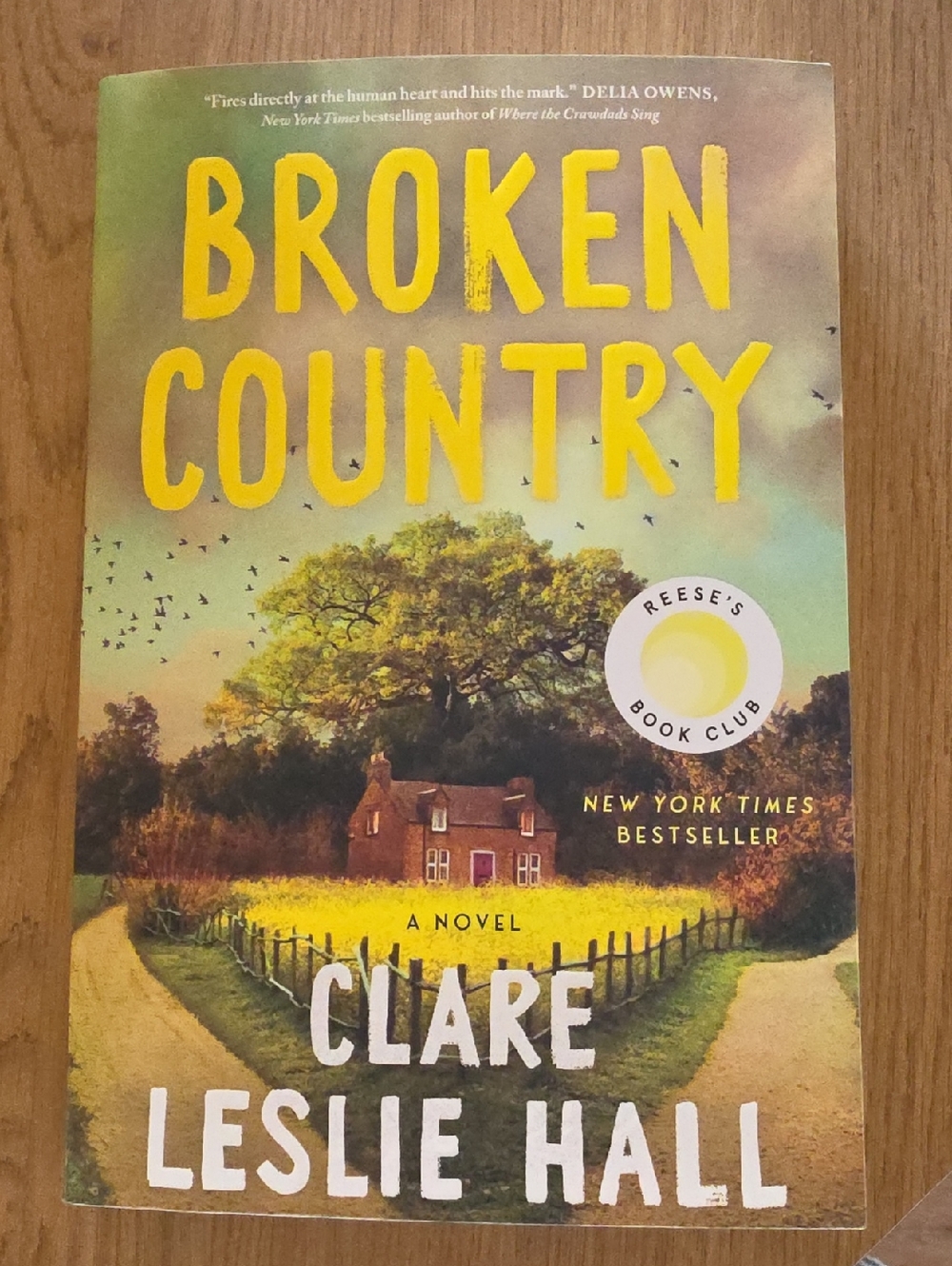 Broken Country by Clare Leslie Hall - Yellow & Green Cover Paperback